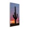 Stupell Industries Arizona Cactus at Sunset Wall Plaque, design by Jeff Poe Photography